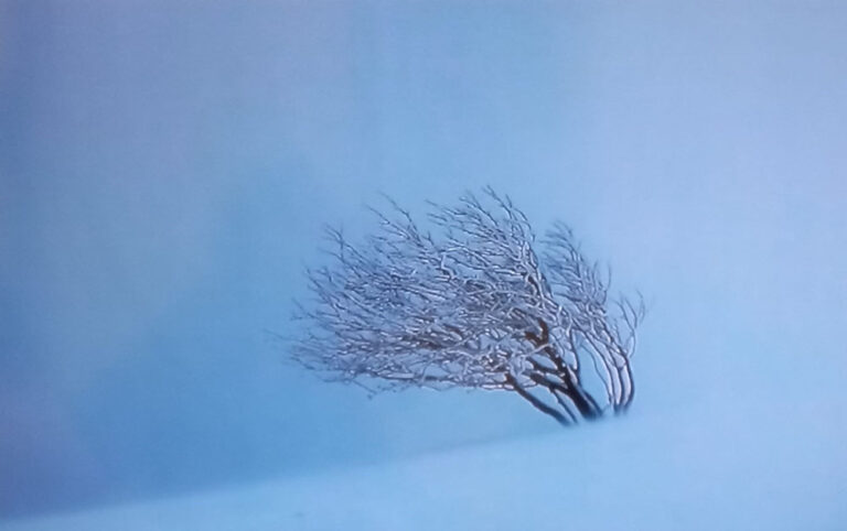 Les origines de l’art-thérapie